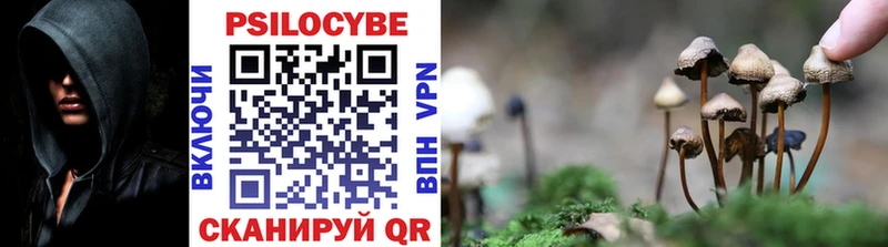 Галлюциногенные грибы ЛСД Магадан